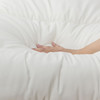 抗菌防螨被 单人150*210cm/双人200*230cm/大双人220*240cm 商品缩略图2