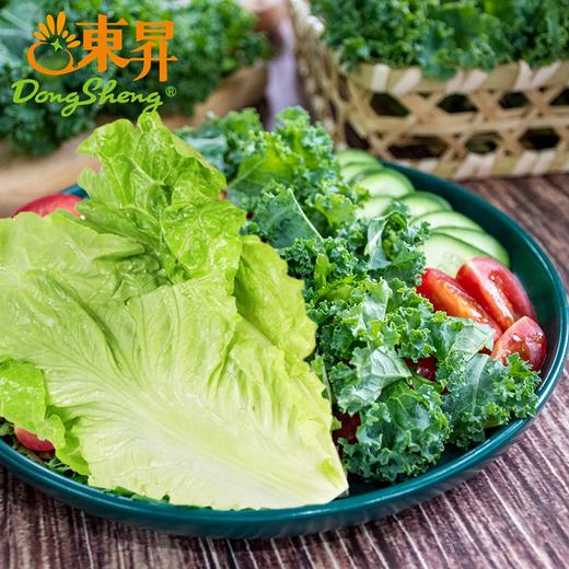 东升农场 新鲜混合蔬菜沙拉即食色拉生菜 低脂轻食健身代餐700g 商品图2