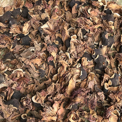 木棉花   攀枝花 商品图2