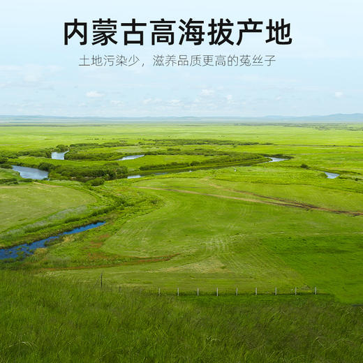 杞里香菟丝子250克*2罐装 商品图4