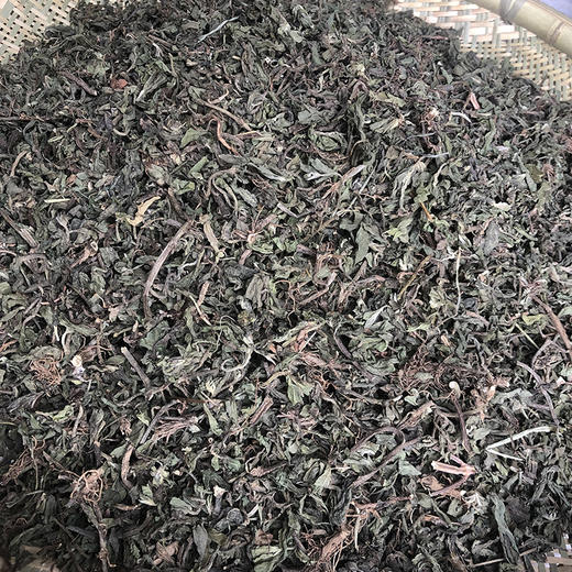 墨旱莲  旱莲草 商品图2