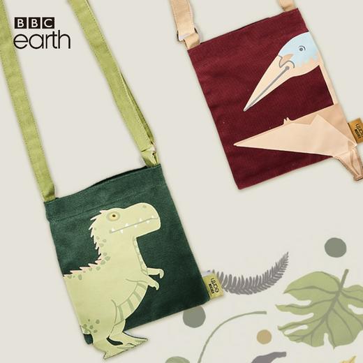 BBC EARTH霸王龙翼龙萌趣潮流成人儿童异形环保全棉帆布包 商品图0