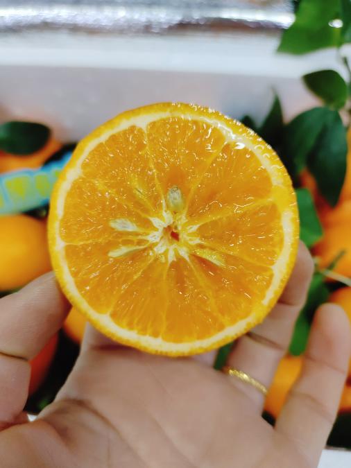 明日见沃柑一箱（拼团） 商品图5