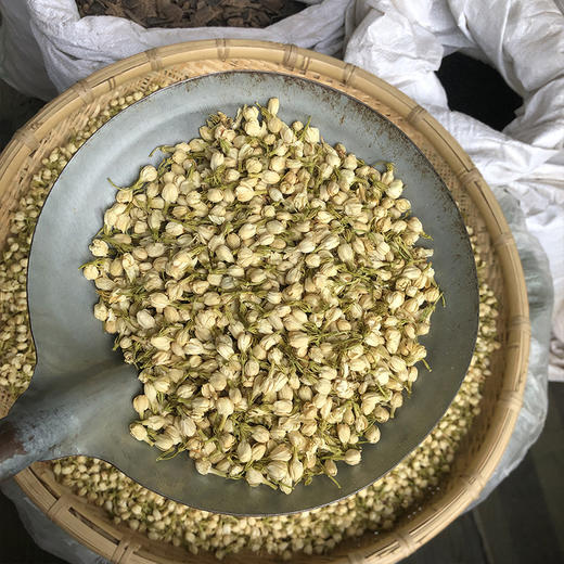 茉莉花 商品图3
