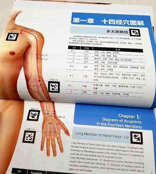 《三维经络穴位全彩图集》，大16开精装，铜版彩印，老中医  773页，福建科技出版社2018年版，定价598，售价179元。 商品图7