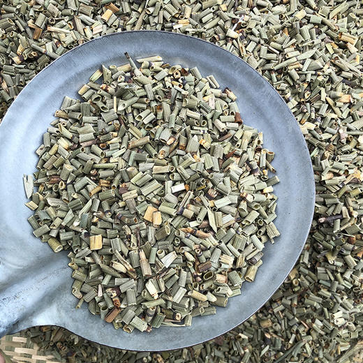 木贼草 商品图4