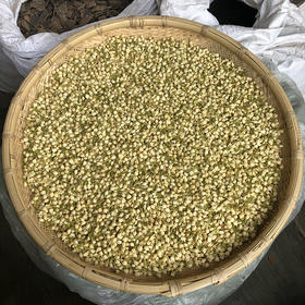茉莉花