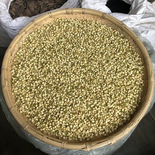 茉莉花 商品图0