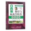 百香果栽培与病虫害防治彩色图说 热带果树 果树园艺 热带水果 29996 商品缩略图2