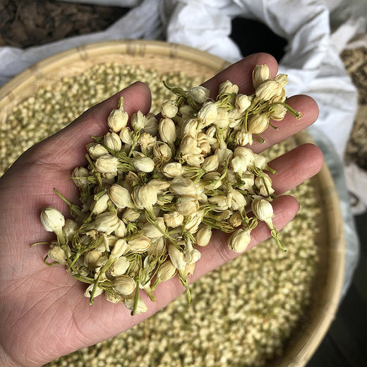 茉莉花 商品图2