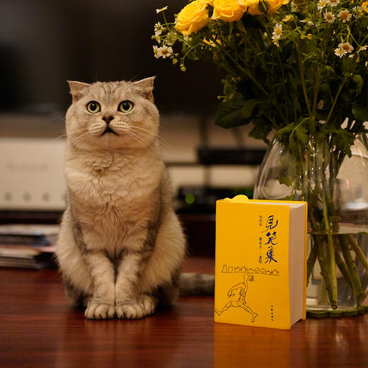 见笑集 （插图版） 黄永玉著 商品图1