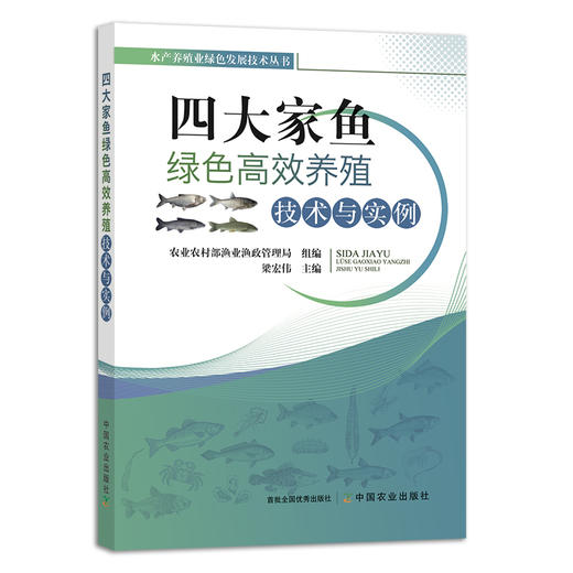 四大家鱼绿色高效养殖技术与实例 淡水养殖 渔业 鱼类养殖 生态养殖 水产养殖业绿色发展技术丛书 梁宏伟 27984 商品图1