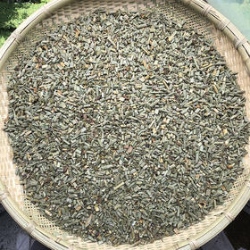 木贼草