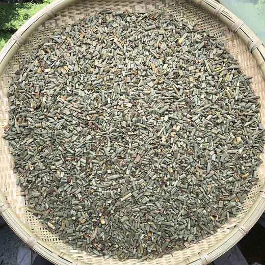 木贼草 商品图0