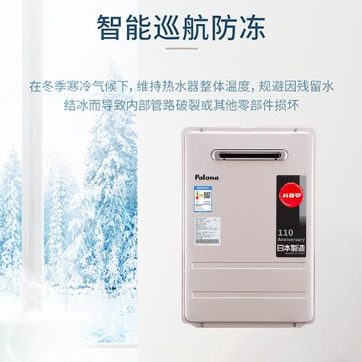 Paloma/百乐满 JSW30-1616AWWC/2020AWWC进口燃气热水器室外/16升/20升 商品图1