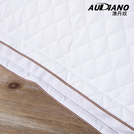 澳丹奴绗缝羽丝绒枕 商品图1