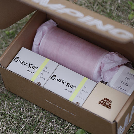 「春日限量版」露营野餐盒#CampingMagicBox｜SPRING EDITION 商品图2