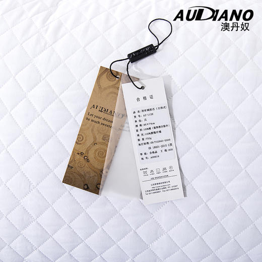 澳丹奴绗缝羽丝绒枕 商品图2