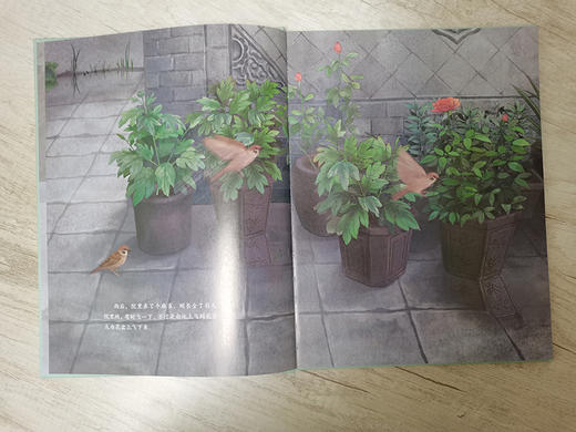 【童立方】大家小绘系列：小麻雀 7-10亲子共读，11-14岁独立阅读 精装 商品图3