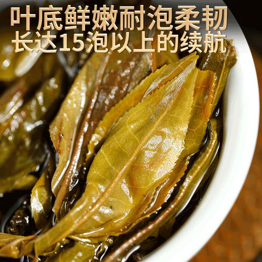 第2份半价！2023春茶 吉顺号冰岛普洱茶生古树茶黄金叶357克 商品图4