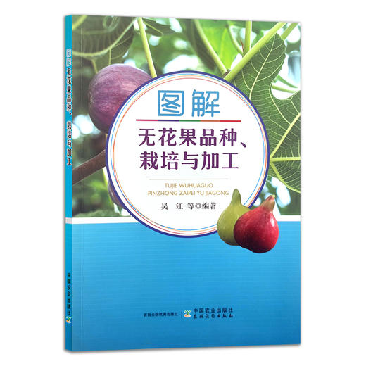 图解无花果品种、栽培与加工 吴江 等 果树园艺 30391 商品图1