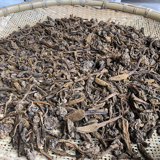 鹿仙草 商品图1