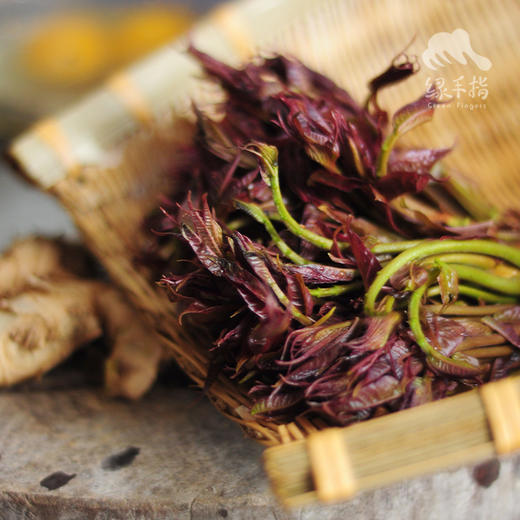 生态山西香椿 | 合作生产* Eco-cedrela sinensis | Coproduction 商品图2