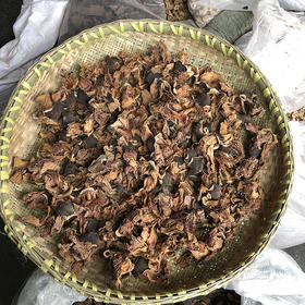 木棉花   攀枝花