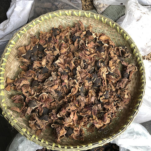 木棉花   攀枝花 商品图0