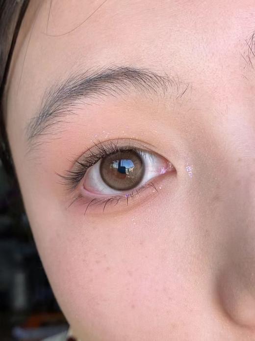 贝果曲奇 金箔咖 日抛 CHONOS 商品图4