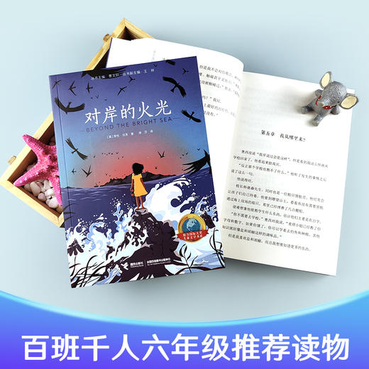 对岸的火光   六年级正版现货速发|名师推荐|小学生课外阅读6年级 商品图3