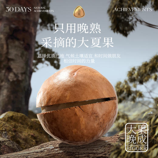 【气质团专属】【4罐】觅菓大夏威夷果258g/罐食用营养大颗粒手剥特大饱满觅果原味 商品图2