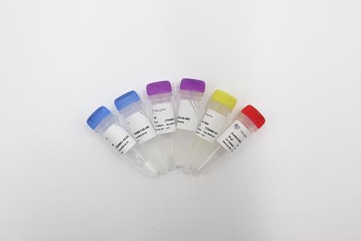 TruePrep DNA Library Prep Kit for MGI 商品图0