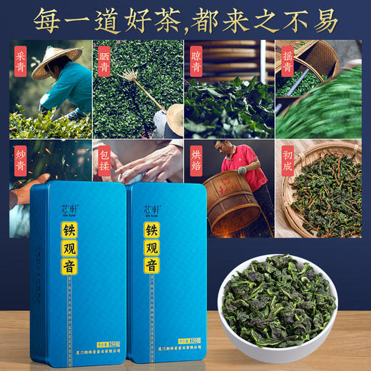 【下单即送瓷器功夫茶具】芯轩安溪铁观音茶叶特级兰花香春茶新茶250g*2罐 送：大红袍75g*4罐+正山小种125g*4罐+滇红野茶90g*1罐 商品图2