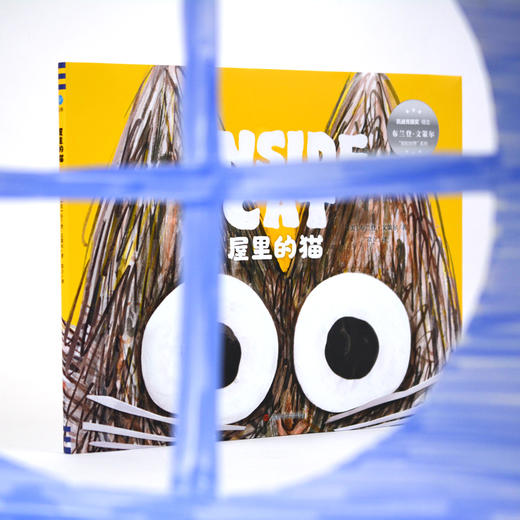 【奇想国】屋里的猫-童眸 3-8岁精装鼓励观察、想象，激发好奇心与创造性思维 商品图1