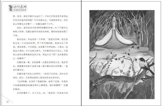 红蜡烛与美人鱼    四年级推荐自读正版现货速发|名师推荐|小学生课外阅读4年级 商品图3