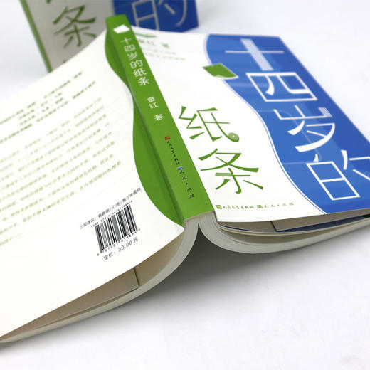 十四岁的纸条 商品图2