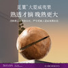 【气质团专属】【4罐】觅菓大夏威夷果258g/罐食用营养大颗粒手剥特大饱满觅果原味 商品缩略图8