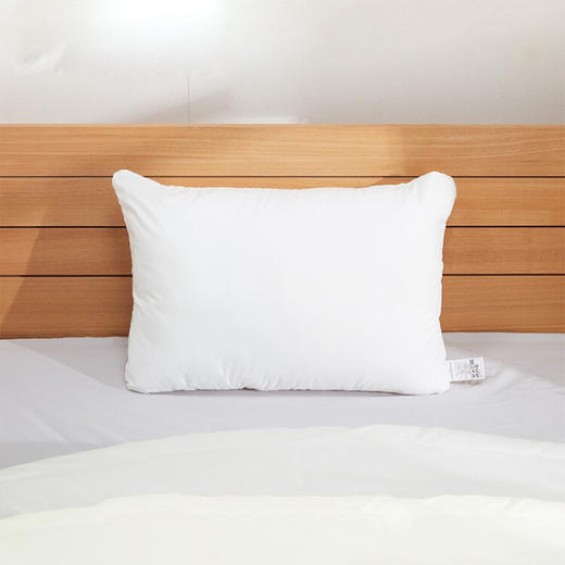 羽丝绒记忆海绵可调节枕2 商品图0