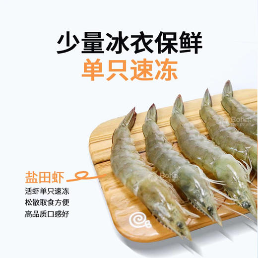 有机熟虾 商品图11