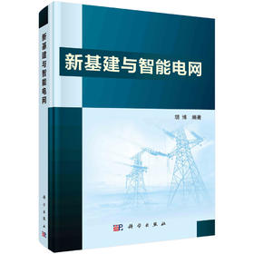 新基建与智能电网/胡博