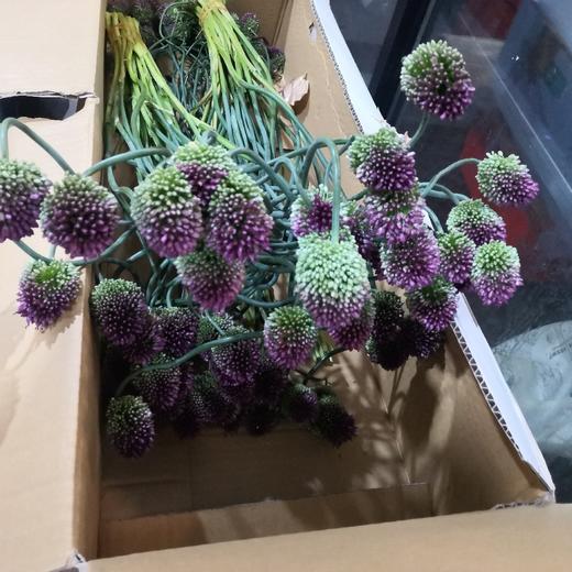 配花-弯葱-10支 商品图0