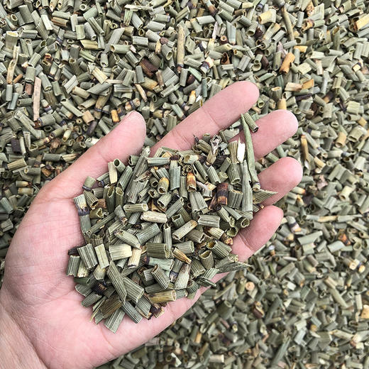 木贼草 商品图2