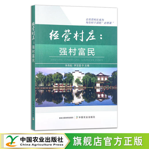 经营村庄：强村富民 朱奇彪 李宝值 社会主义建设 乡村振兴 29846 商品图0