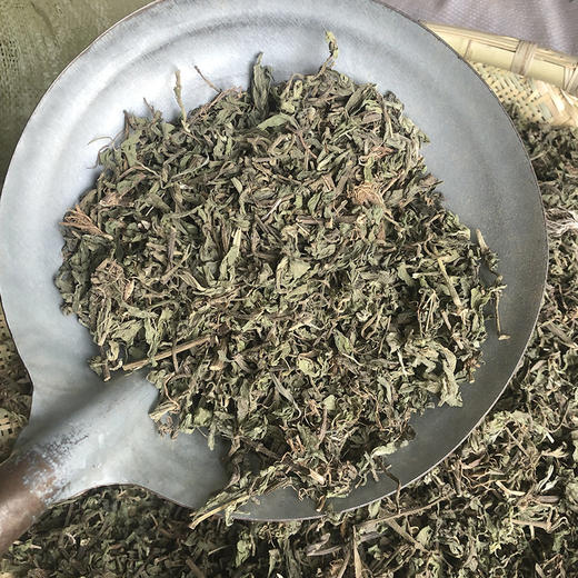 墨旱莲  旱莲草 商品图4