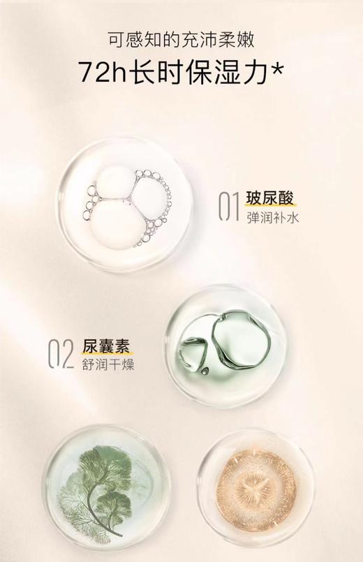 Paparecipe春雨蜂蜜面膜25g*10片 商品图3