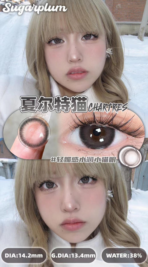 sugarplum糖豆·年抛 DOLL同款眼猪猪/抖音点赞10w+高呼声人气款 黑木果/泰式千金/奶油星球/夏尔特猫 14.5mm/备注双眼度数 商品图4