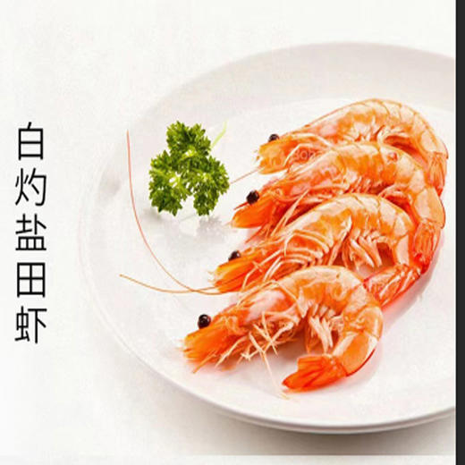 有机熟虾 商品图5