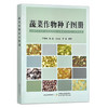 蔬菜作物种子图册 王德槟,魏民,马宾生,李蕾 30002 商品缩略图1
