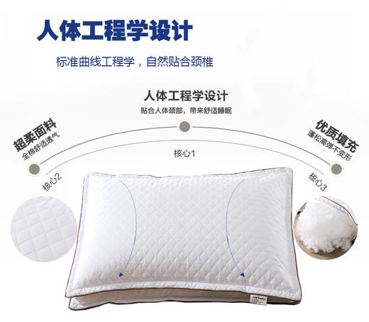 澳丹奴绗缝羽丝绒枕 商品图3